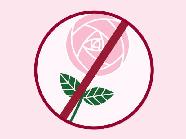 Rights not roses for International Women’s Day